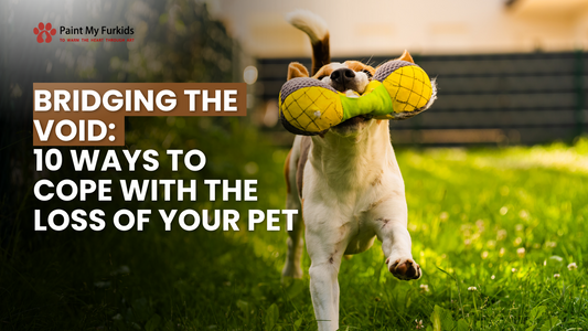 Bridging the Void: 10 Ways to Cope with the Loss of Your Pet
