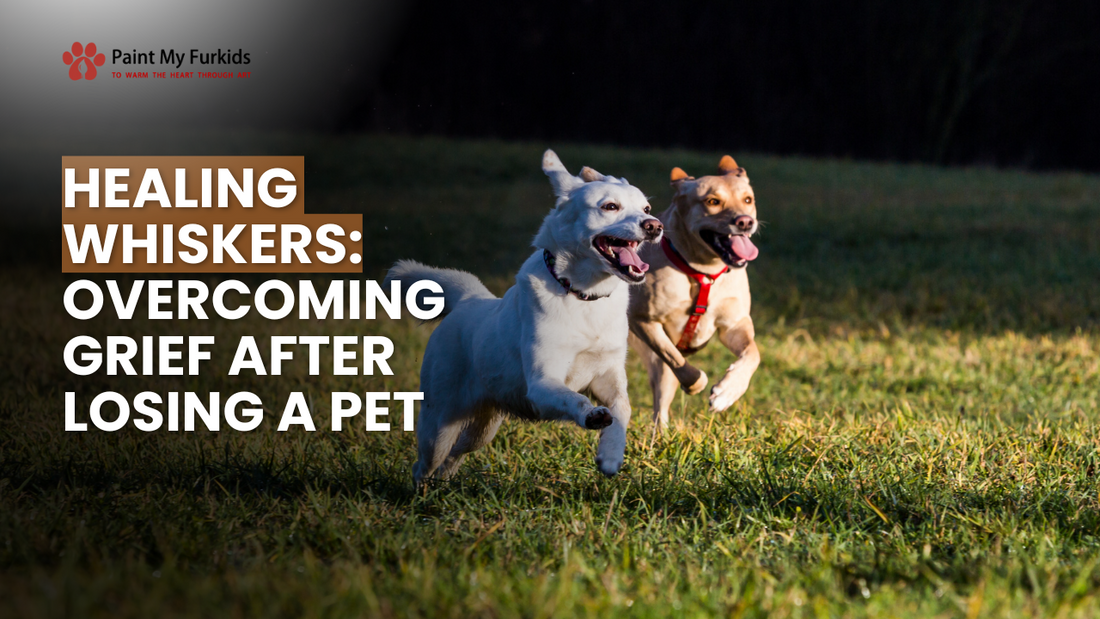 Healing Whiskers: Navigating the Journey of Overcoming Grief After Losing a Pet