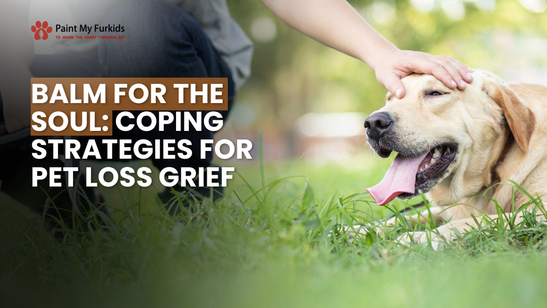 Finding Solace: Coping Strategies for Pet Loss Grief with Balm for the Soul
