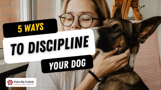 HOW TO DISCIPLINE YOUR DOG - 5 WAYS