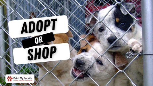 Adopt or Shop??