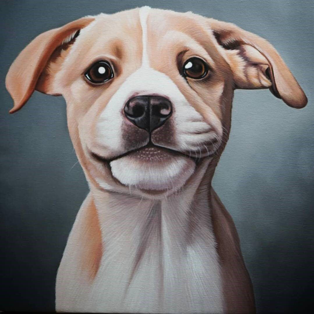 Custom Pet Portrait Oil Painting (Headshot Style)