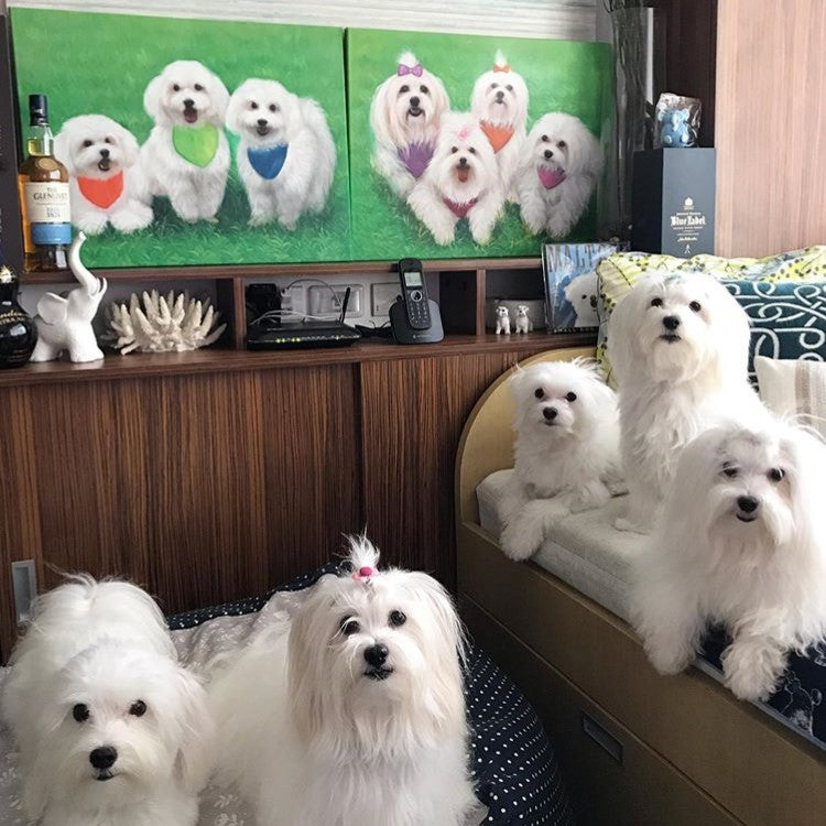 Custom Pet Portrait Oil Painting (Standard Style: Paint-Per-Photo)