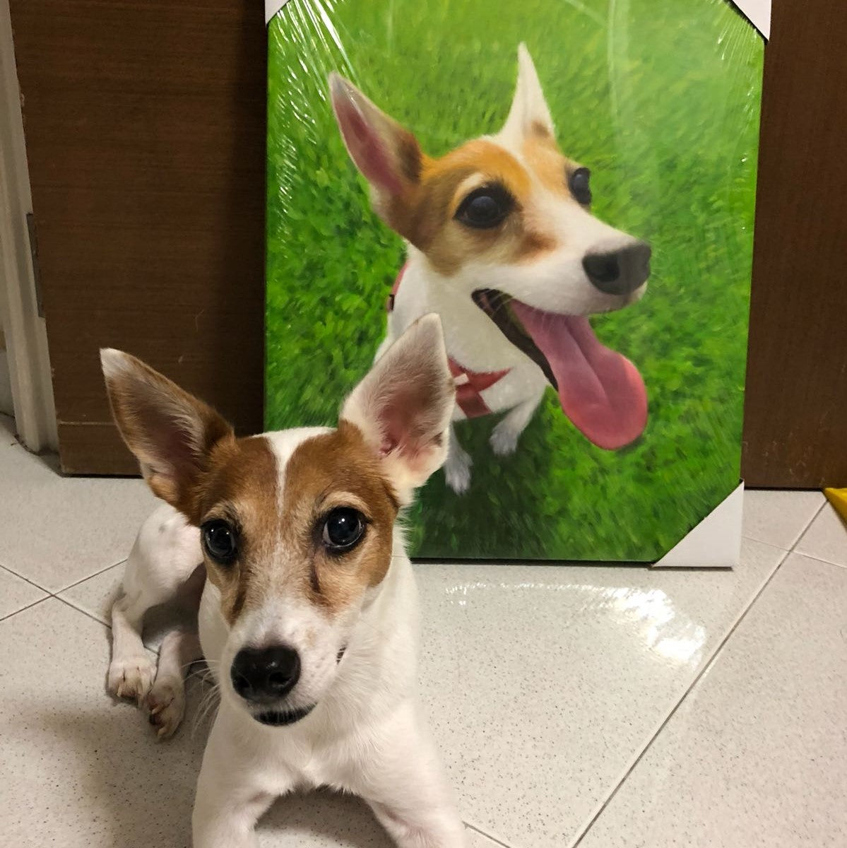 Custom Pet Portrait Oil Painting (Standard Style: Paint-Per-Photo)