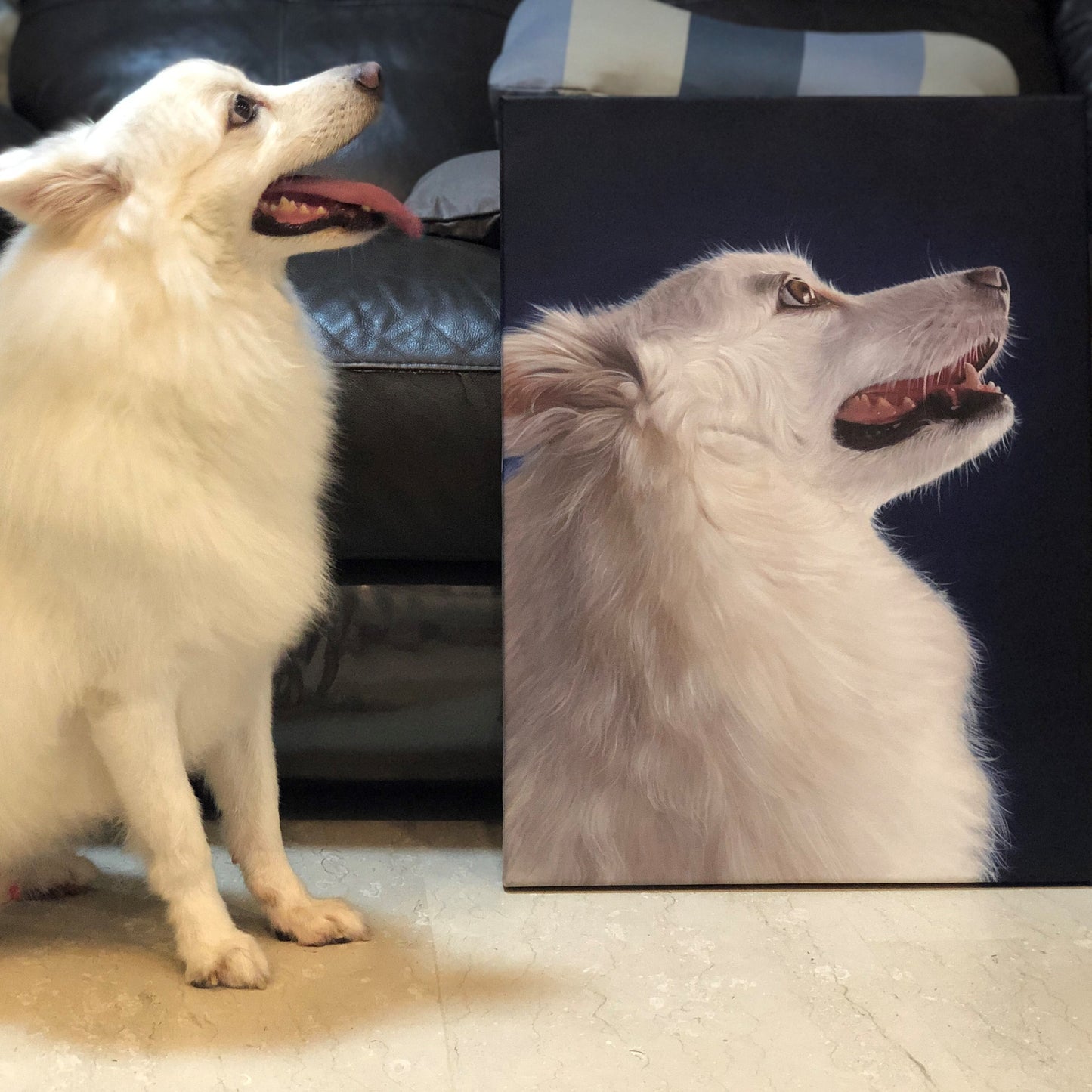 Custom Pet Portrait Oil Painting (Standard Style: Paint-Per-Photo)