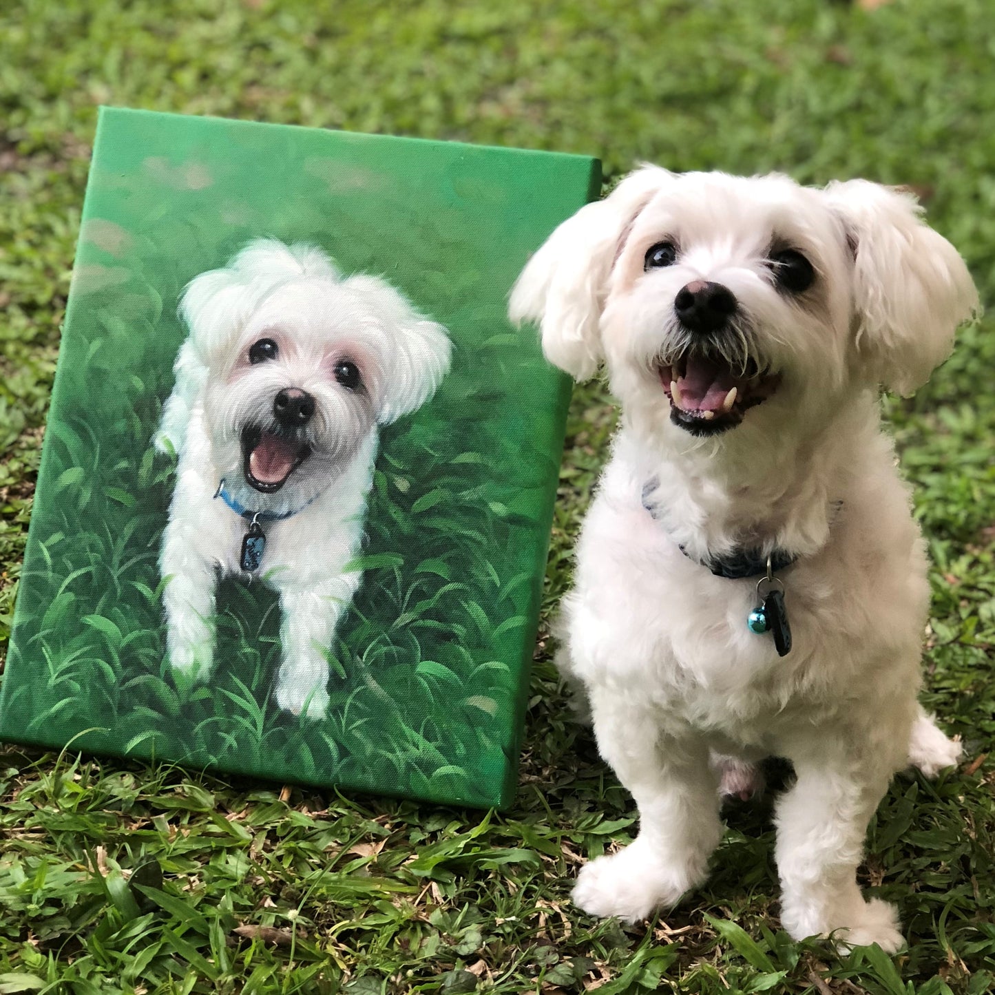 Custom Pet Portrait Oil Painting (Standard Style: Paint-Per-Photo)