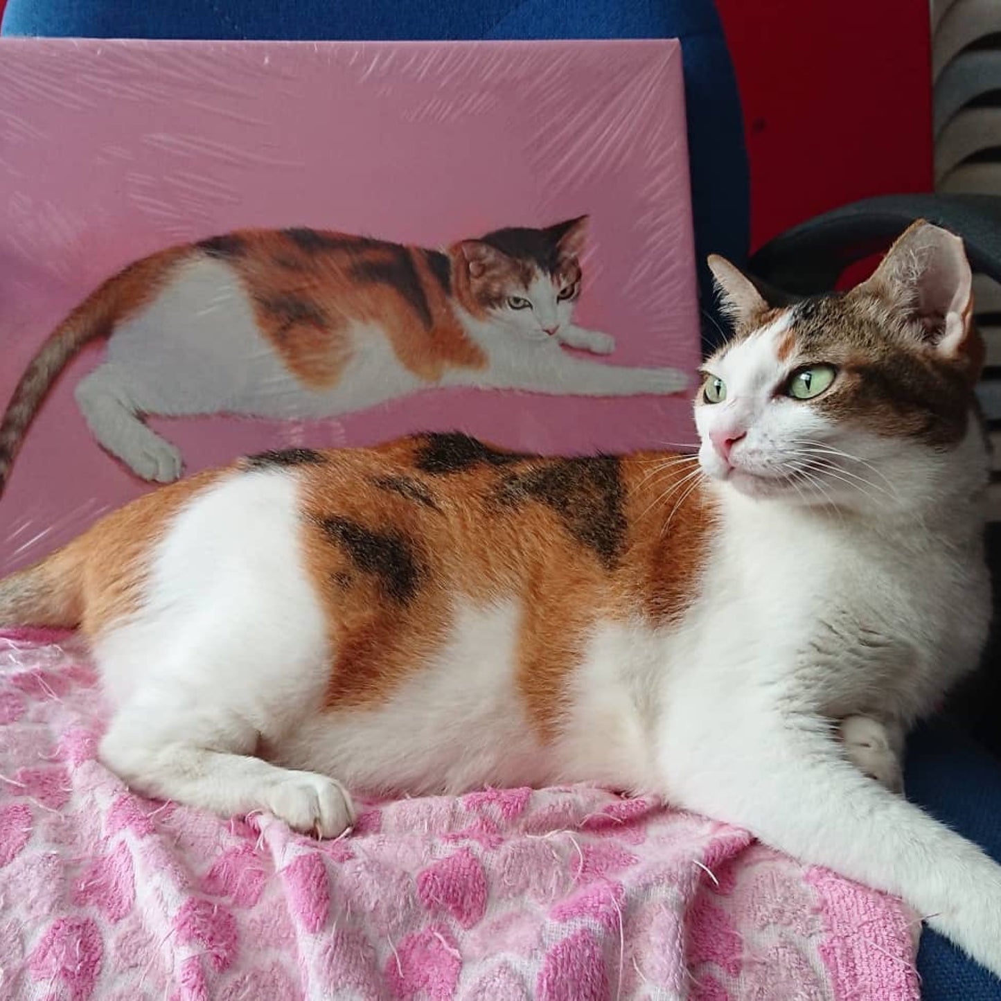 Custom Pet Portrait Oil Painting (Standard Style: Paint-Per-Photo)