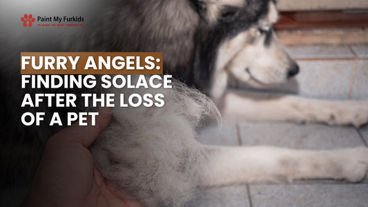 Furry Angels: Navigating the Path to Solace After Losing a Beloved Pet