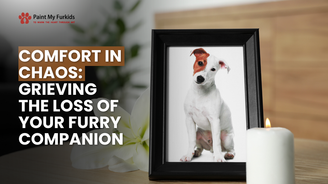 Finding Comfort in Chaos: Navigating the Grief of Losing Your Furry Companion