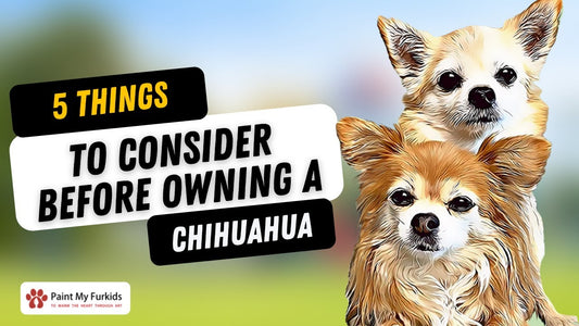 5 THINGS YOU SHOULD KNOW BEFORE OWNING A CHIHUAHUA