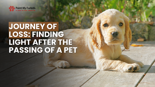 Embracing the Journey of Loss: Finding Light After the Passing of a Beloved Pet