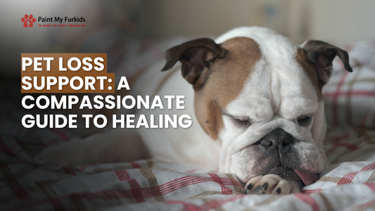 Finding Solace: A Compassionate Guide to Pet Loss Support