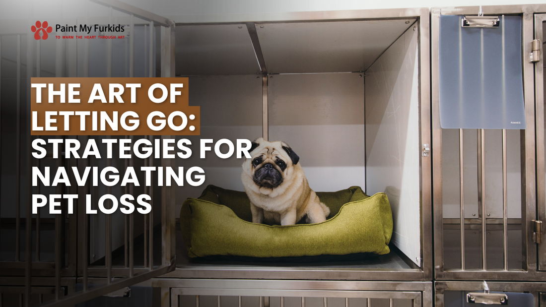 The Art of Letting Go: Strategies for Navigating Pet Loss