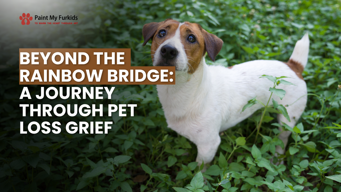 Navigating Pet Loss Grief: A Compassionate Journey Beyond the Rainbow Bridge