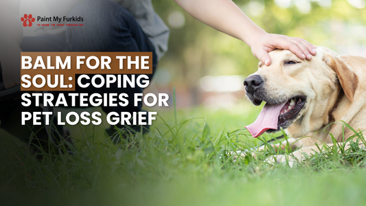 Finding Solace: Coping Strategies for Pet Loss Grief with Balm for the Soul