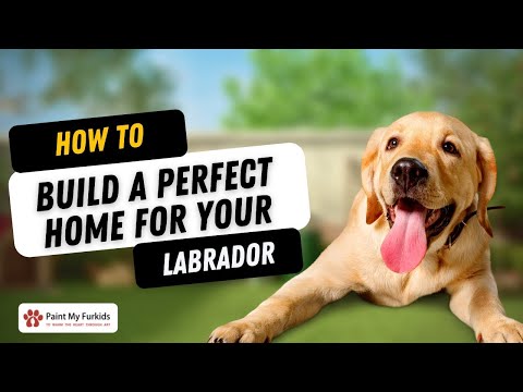 HOW DO YOU BUILD THE PERFECT HOME FOR YOUR LABRADOR