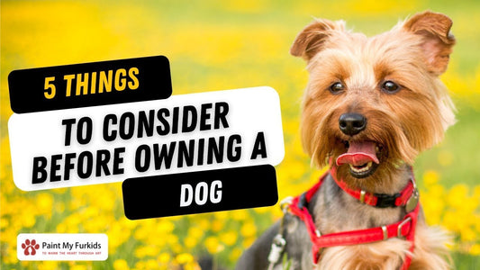 5 THINGS TO CONSIDER BEFORE OWNING A DOG