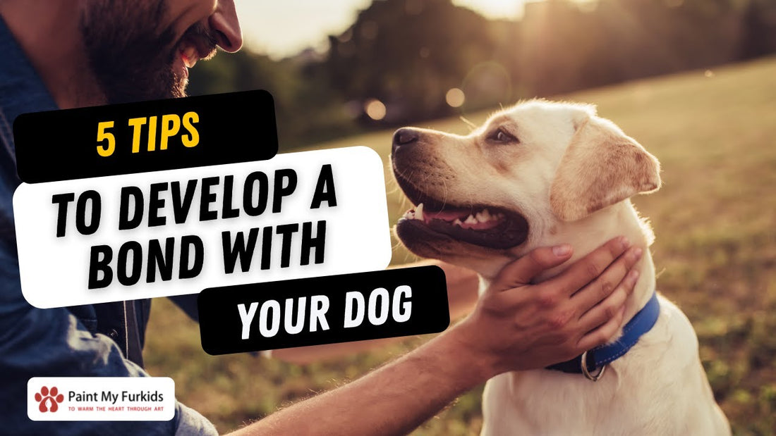 HOW TO DEVELOP A BOND WITH YOUR DOG - 5 Tips