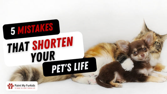5 Mistakes That Shorten Your Pet's Life