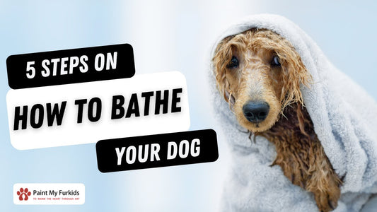 HOW TO BATHE YOUR DOG