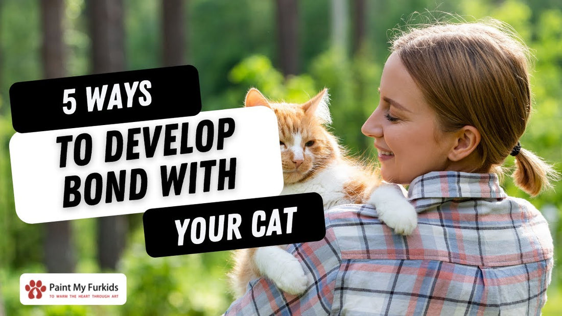 HOW TO DEVELOP A BOND WITH YOUR CAT