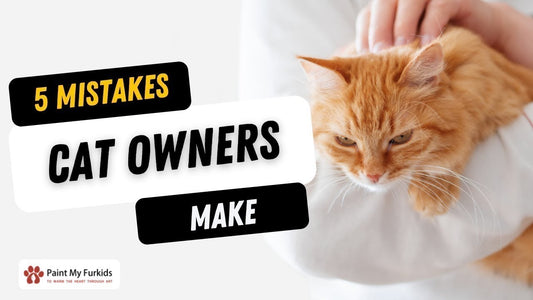 5 Mistakes Cat Owners Make