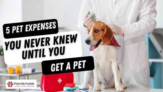 5 Expenses You Never Knew Until You Get A Pet