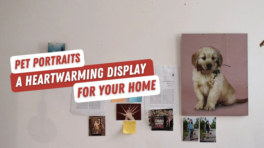 Pet Portraits: A Heartwarming Display for Your Home