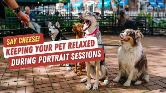 Say Cheese! Keeping Your Pet Relaxed During Portrait Sessions