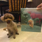 Custom Pet Portrait Oil Painting (Standard Style: Paint-Per-Photo)