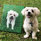 Custom Pet Portrait Oil Painting (Standard Style: Paint-Per-Photo)